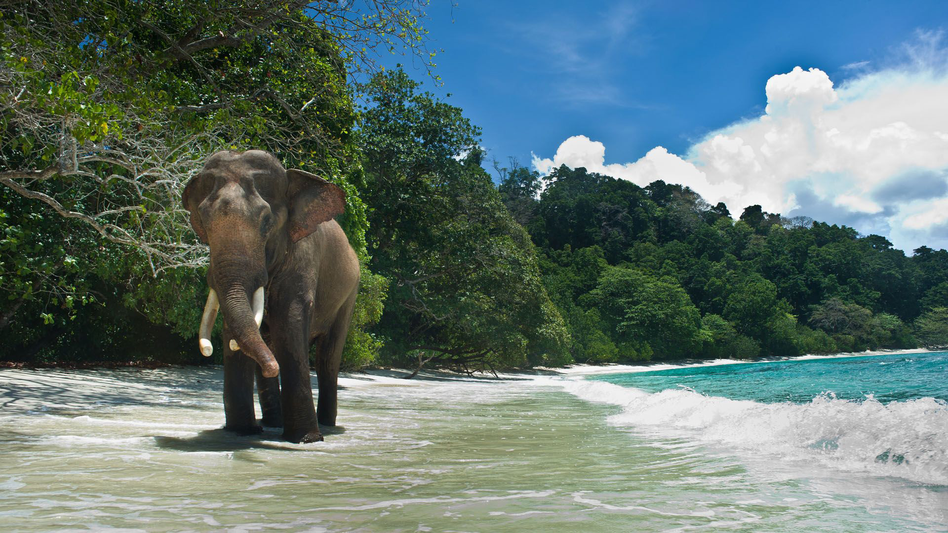 Andaman Islands