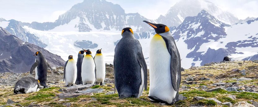 Antarctica