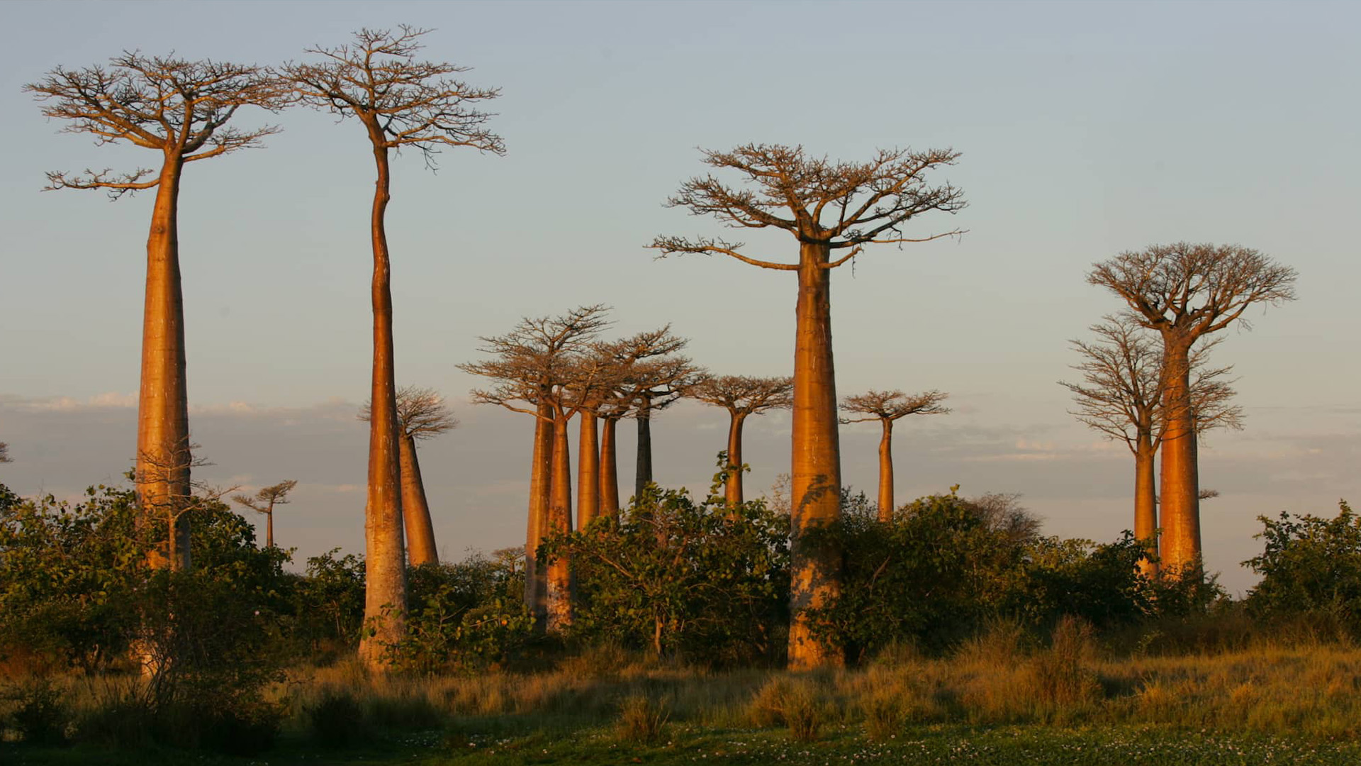 Madagascar