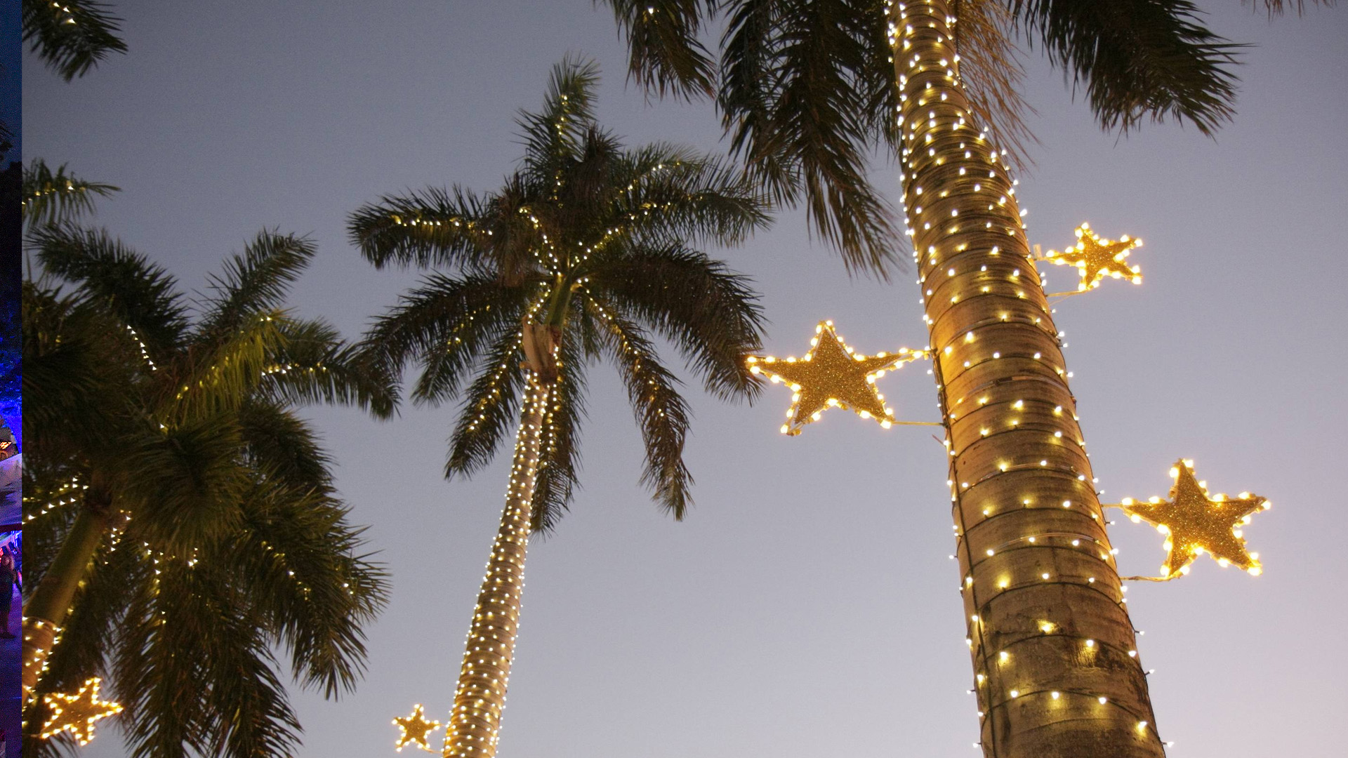 Bal Harbour Shops – Christmas Tree & Lights