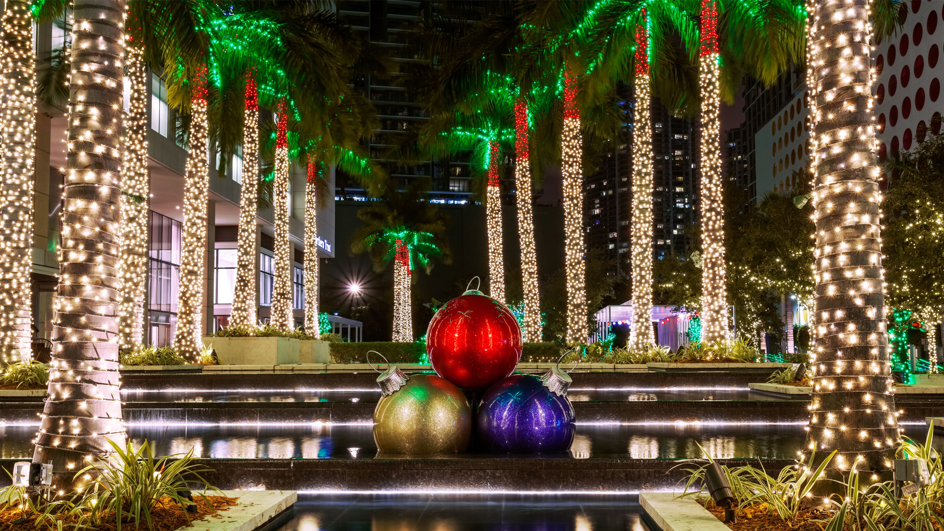 Christmas lights in Miami